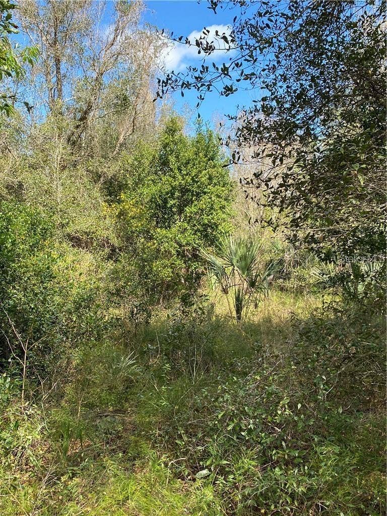Property photo for W BERESFORD ROAD, Deland, FL