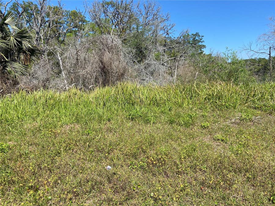 Property photo for PARCEL 27 15 30 00 00 0160, De Leon Springs, FL