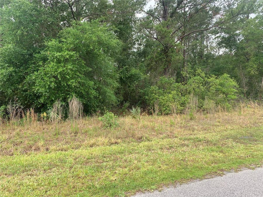 Property photo for 525 LIVE OAK LOOP, Crescent City, FL