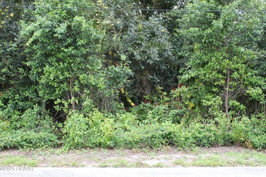 Property photo for 510 FRED GAMBLE WAY, Ormond Beach, FL