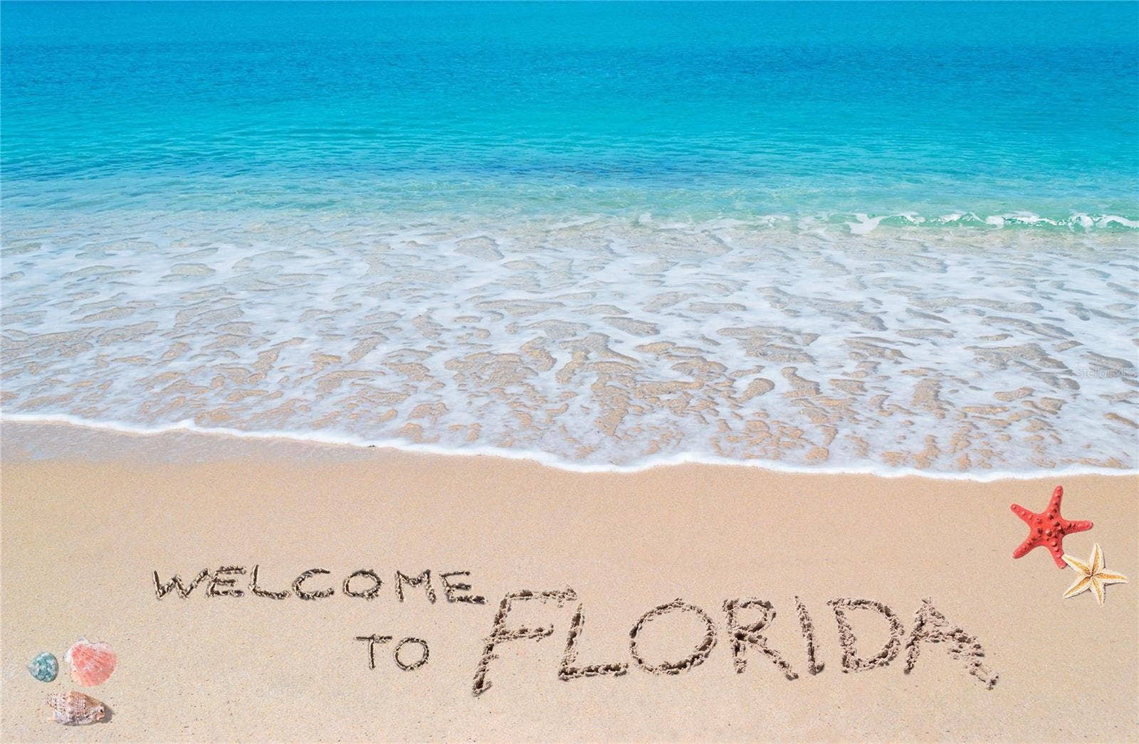 3145 S ATLANTIC AVENUE, #405, Daytona Beach Shores, FL 32118 3145 S ATLANTIC AVENUE, #405, Daytona Beach Shores, FL 32118
