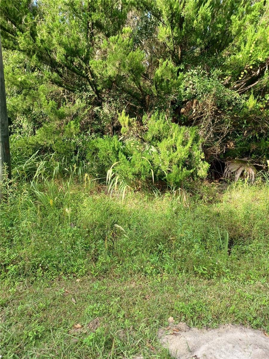 Property photo for WINONA DRIVE, Geneva, FL