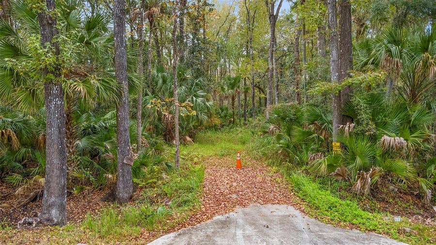 Property photo for 1100 MAYTOWN ROAD, Oak Hill, FL