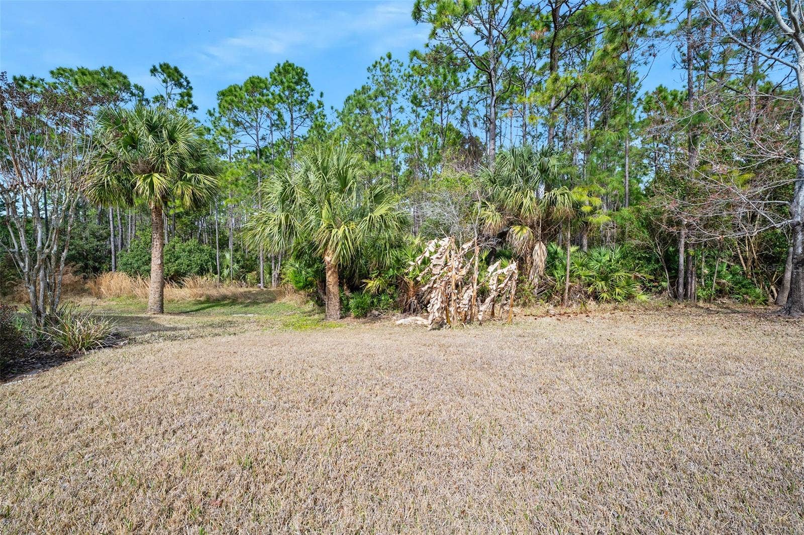 372 CHELSEA PLACE AVENUE, Ormond Beach, FL 32174 Wooded are behind the home