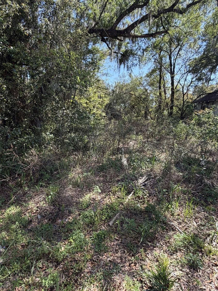 Property photo for 110 E MERCERS FERNERY ROAD, Deland, FL