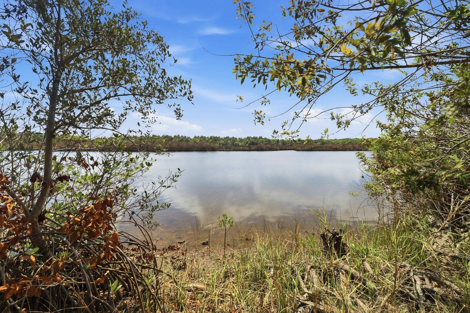 6491 SPRUCE CREEK ROAD, Port Orange, FL 32127 6491 SPRUCE CREEK ROAD, Port Orange, FL 32127