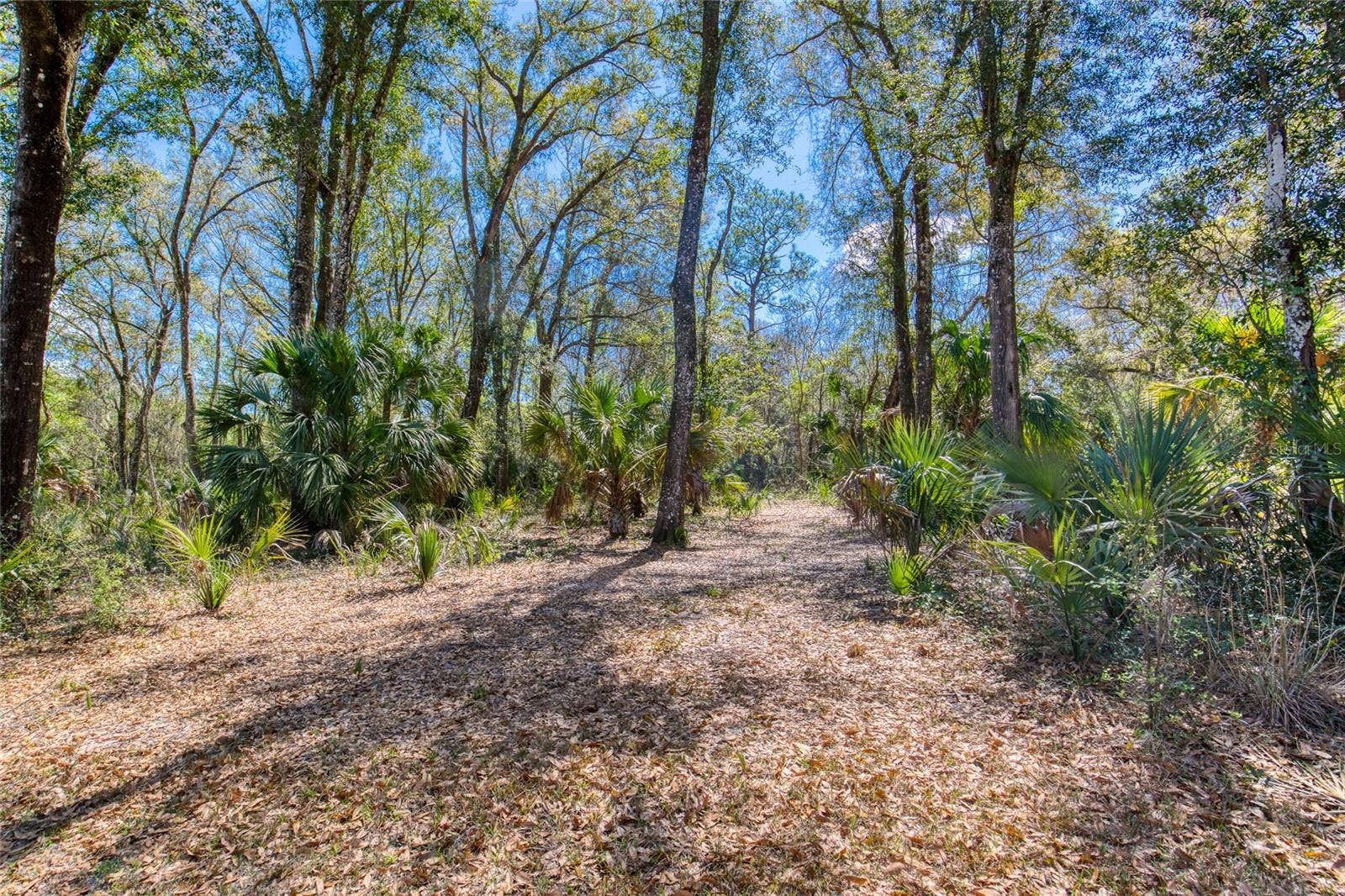 1805 ADRIAN CREEK BOULEVARD, Port Orange, FL 32128 1805 ADRIAN CREEK BOULEVARD, Port Orange, FL 32128