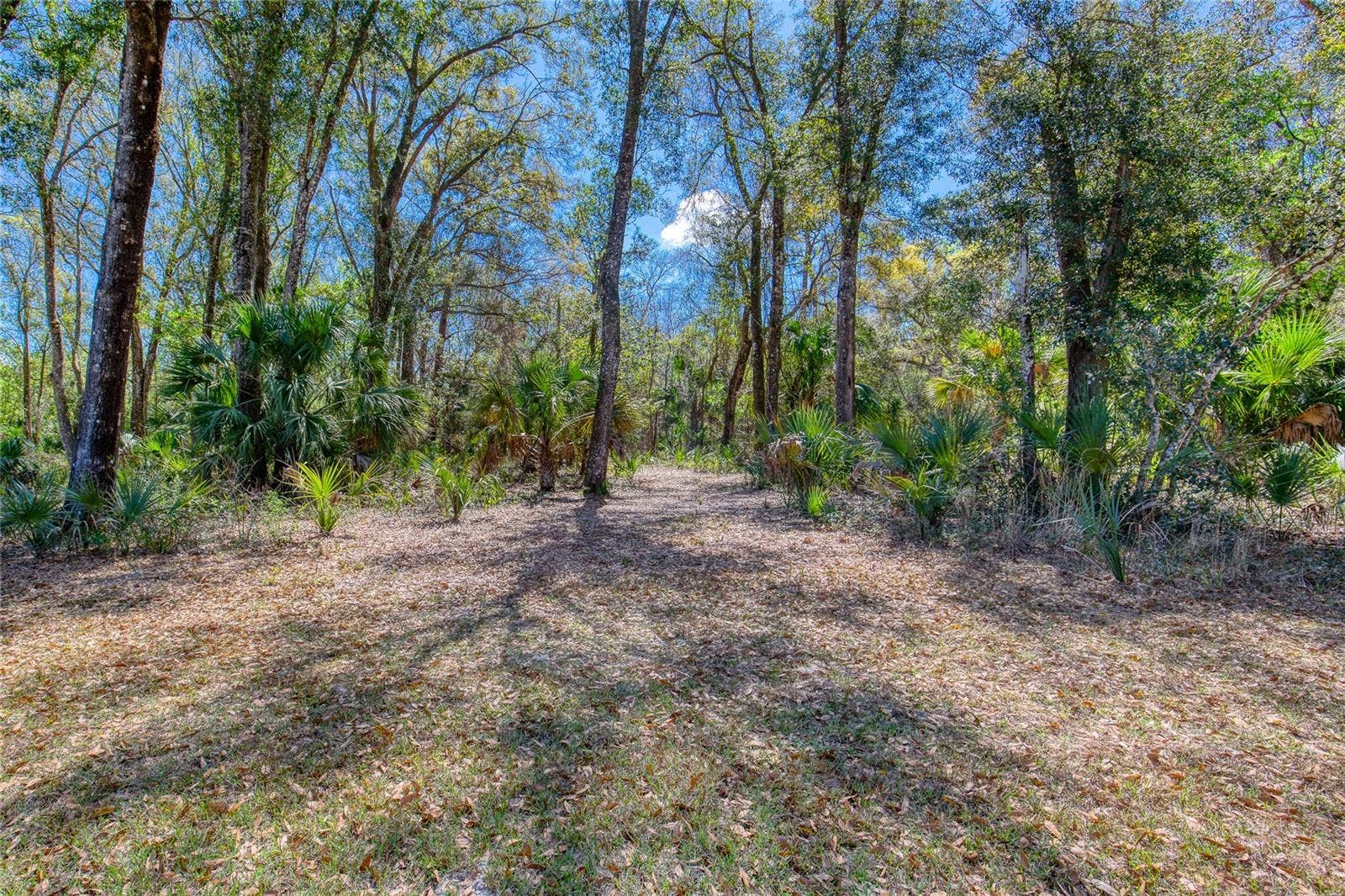 1805 ADRIAN CREEK BOULEVARD, Port Orange, FL 32128 1805 ADRIAN CREEK BOULEVARD, Port Orange, FL 32128