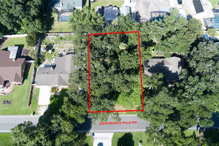 Property photo for 2214 NEEDLE PALM DRIVE, Edgewater, FL
