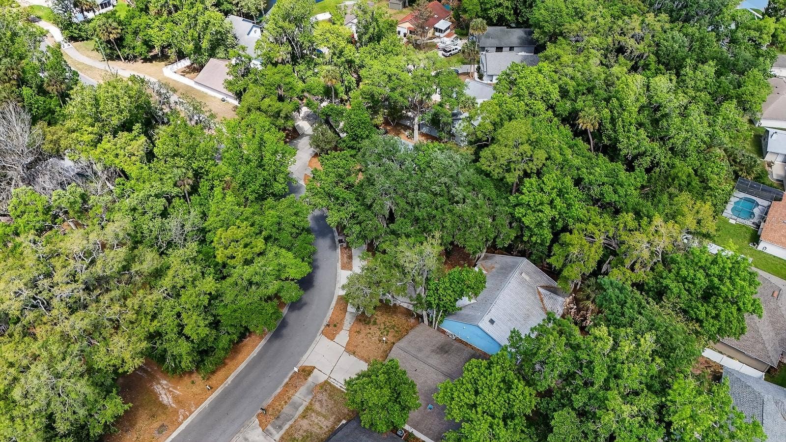 3639 OLD HAMMOCK ROAD, Port Orange, FL 32129 3639 OLD HAMMOCK ROAD, Port Orange, FL 32129