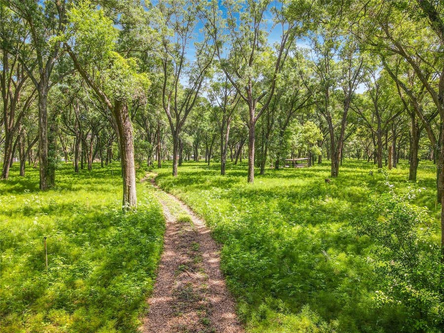 Property photo for 164 DENVER ROAD, Crescent City, FL