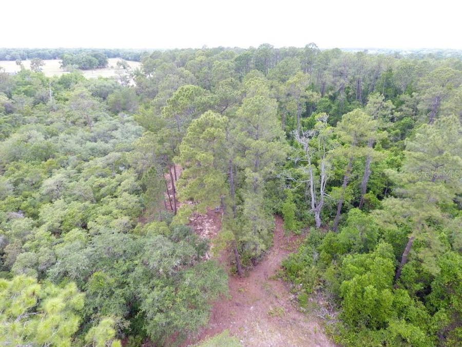 Property photo for 161 SNAKE HILL ROAD, Crescent City, FL