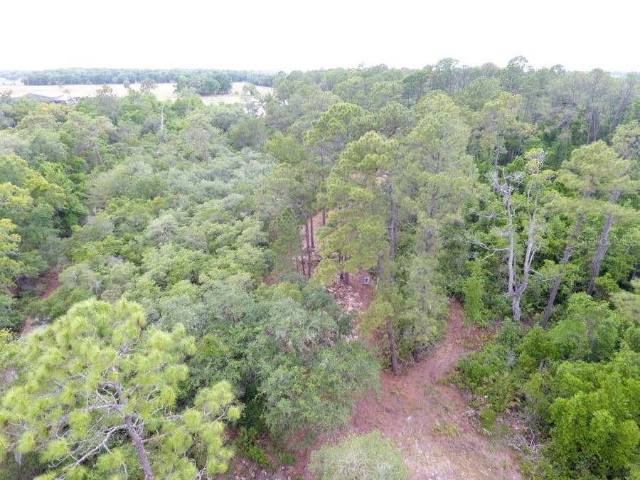 Property photo for 155 SNAKE HILL ROAD, Pomona Park, FL
