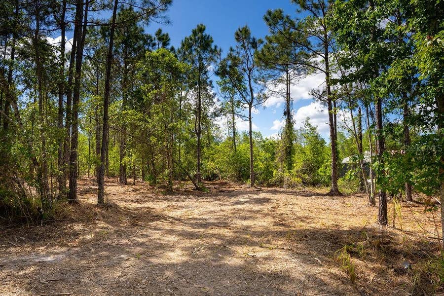 Property photo for 3770 BALSAM COURT, Ormond Beach, FL
