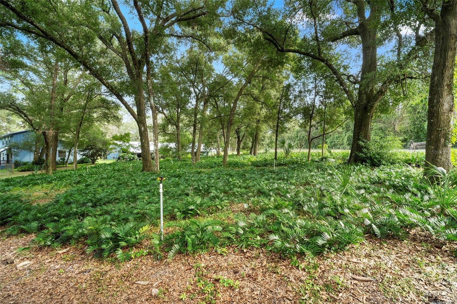 1268 MCGREGOR ROAD, Deland, FL 32720 1268 MCGREGOR ROAD, Deland, FL 32720