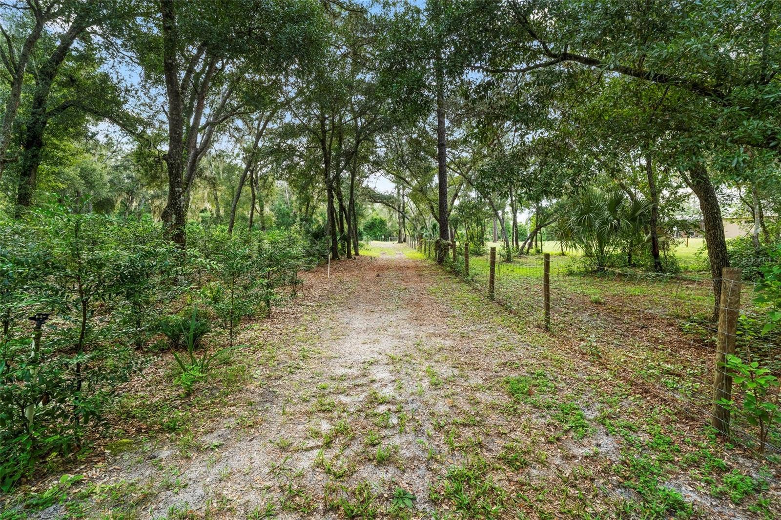 1268 MCGREGOR ROAD, Deland, FL 32720 1268 MCGREGOR ROAD, Deland, FL 32720