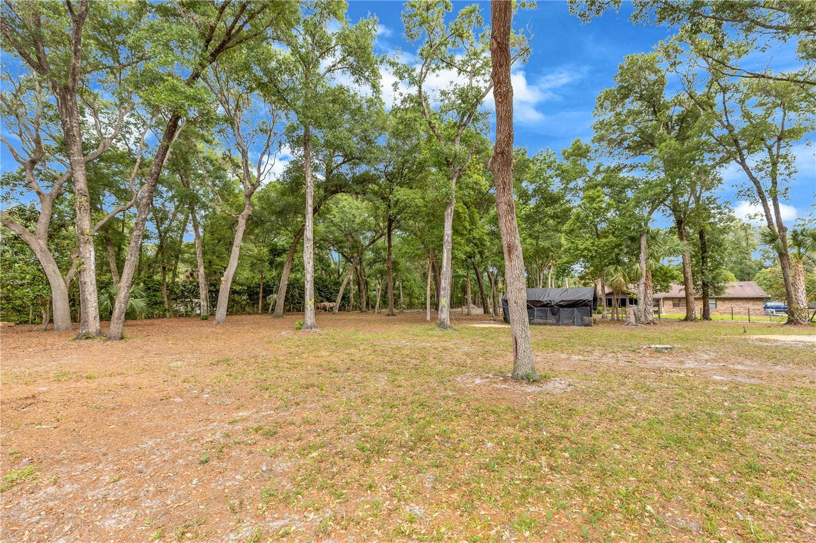 721 MCGREGOR ROAD, Deland, FL 32720 721 MCGREGOR ROAD, Deland, FL 32720