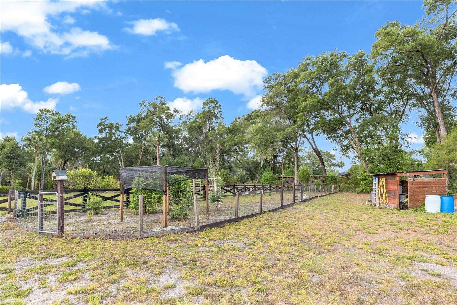 721 MCGREGOR ROAD, Deland, FL 32720 721 MCGREGOR ROAD, Deland, FL 32720