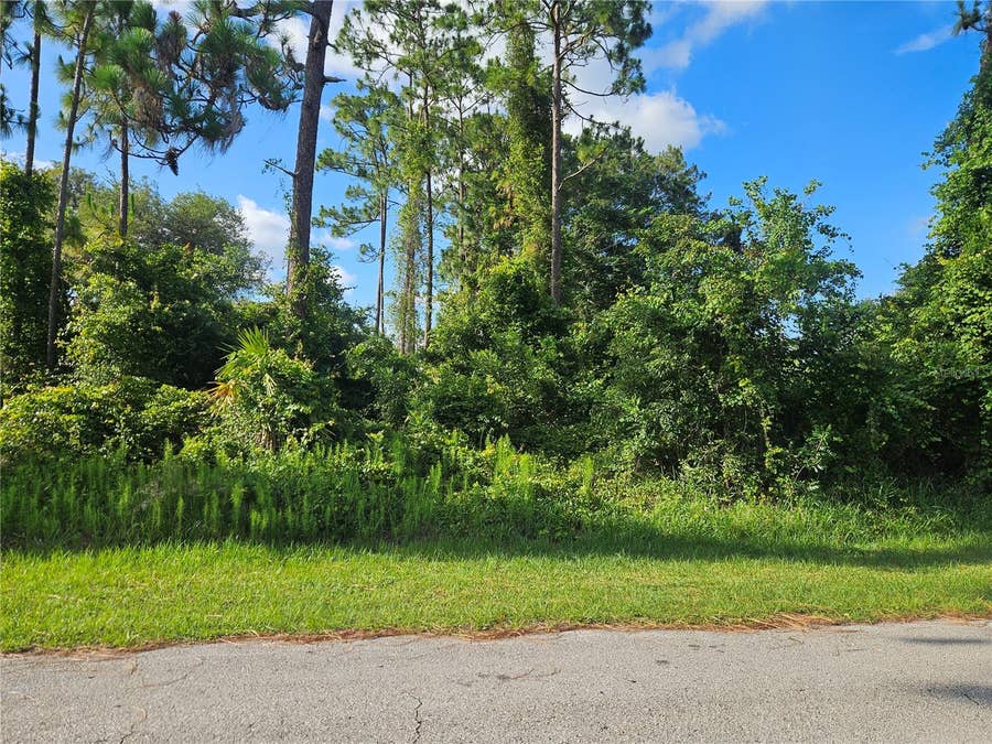 Property photo for 2318 WHITEHORSE STREET, Deltona, FL