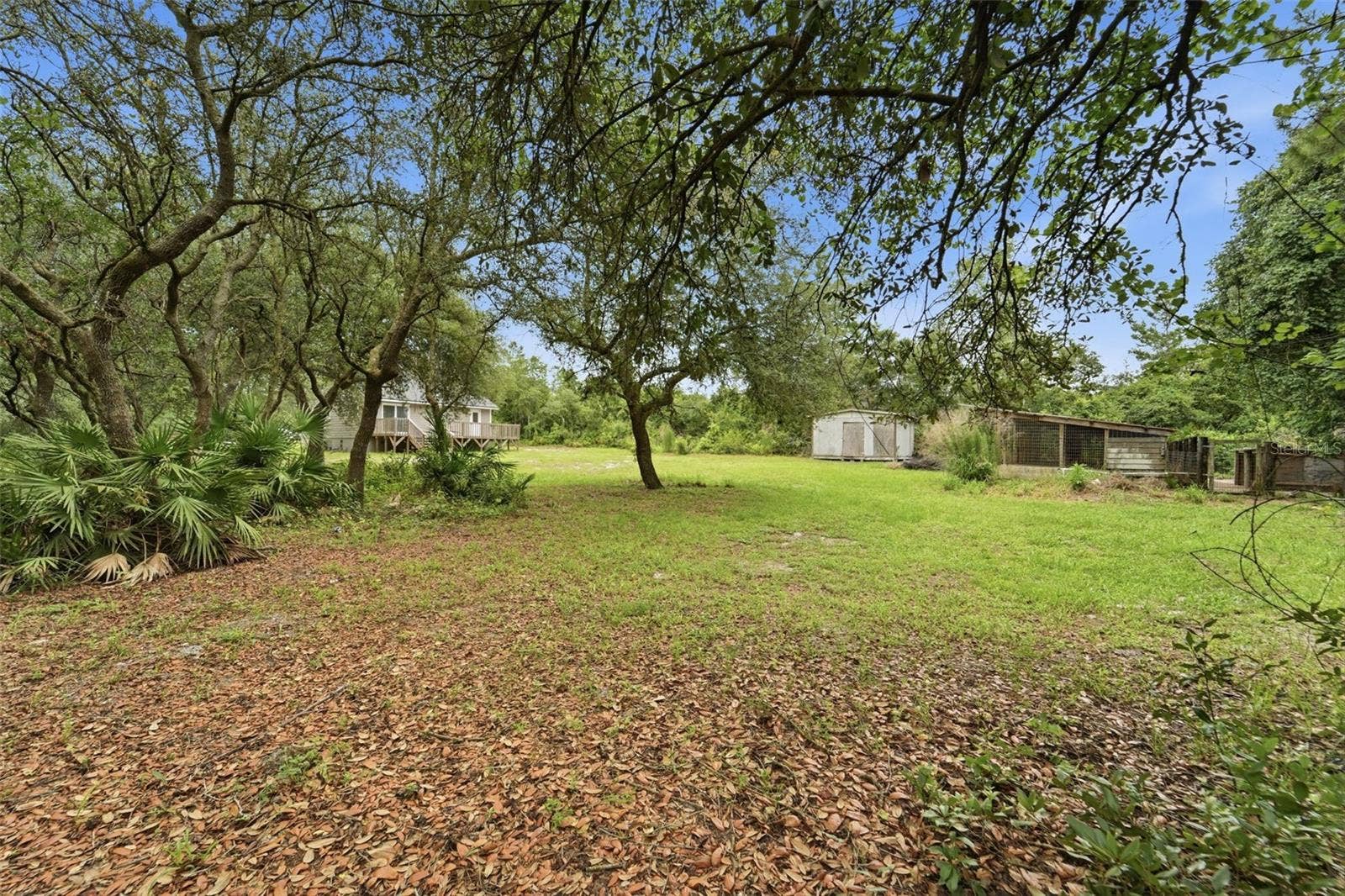 41707 ASPEN ST, Eustis, FL 32736 Backyard