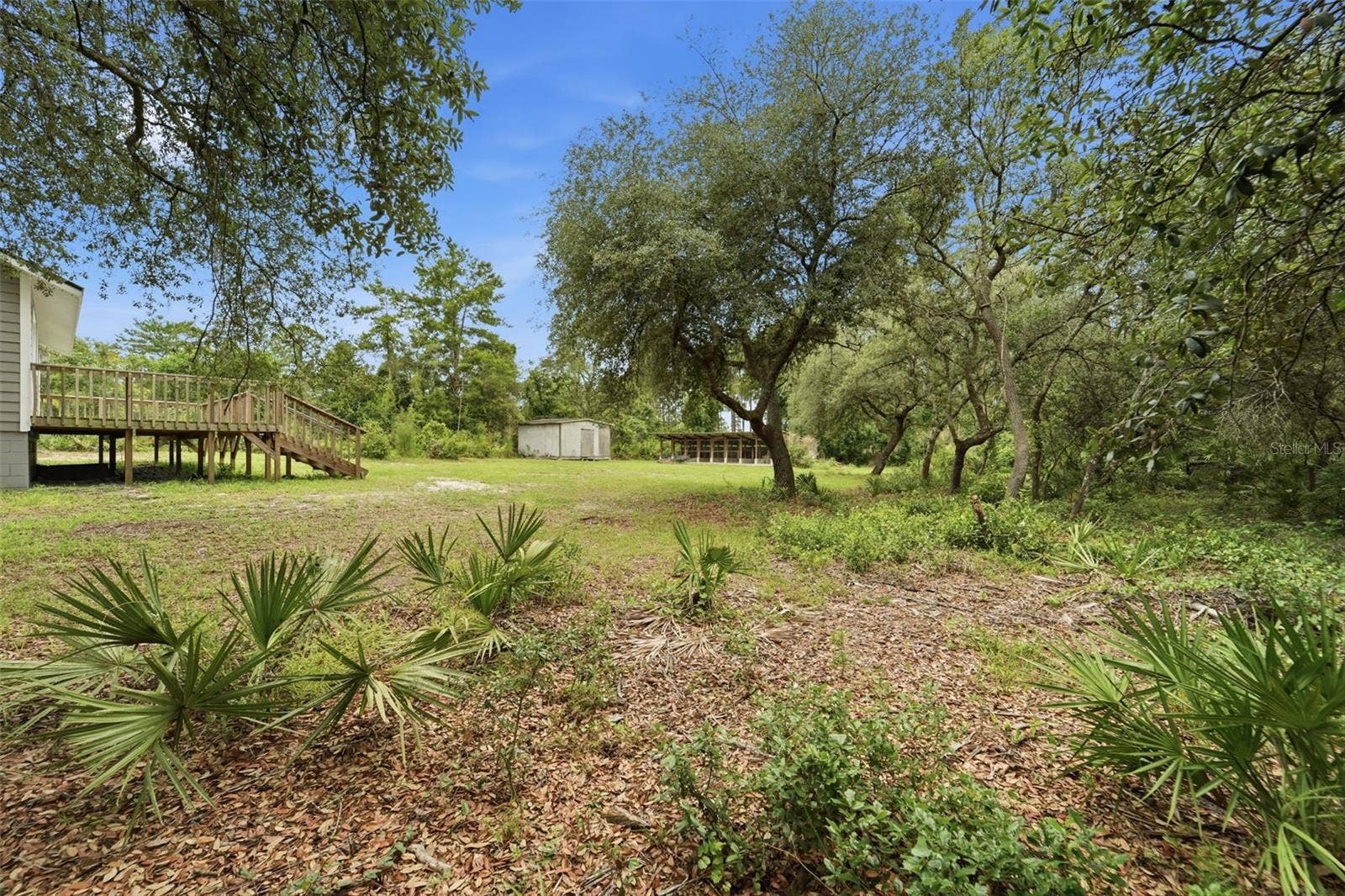 41707 ASPEN ST, Eustis, FL 32736 Backyard