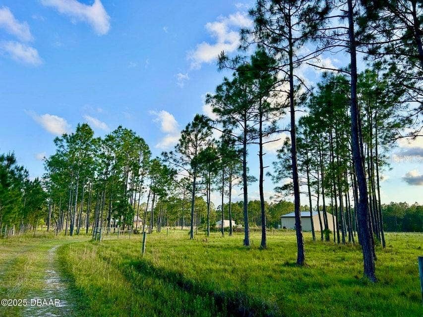 Property photo for 201 WASICK LANE, Ormond Beach, FL