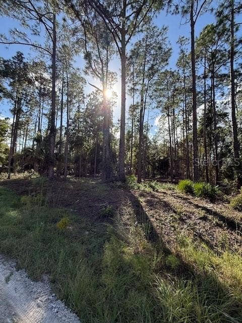 Property photo for 215 HIDEAWAY LANE, Georgetown, FL