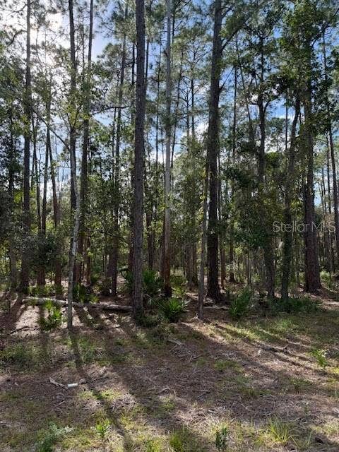 Property photo for 207 OCALA COURT, Georgetown, FL