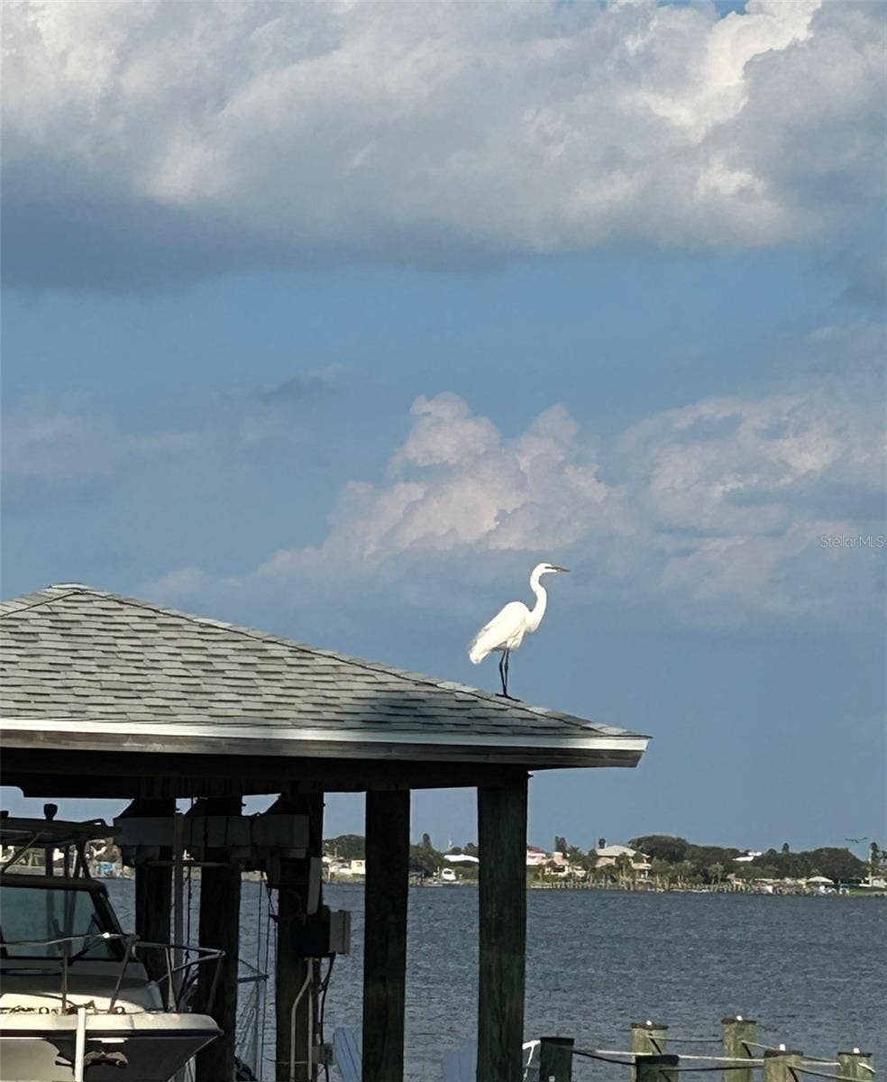 130 REEF ROAD, South Daytona, FL 32119 130 REEF ROAD, South Daytona, FL 32119
