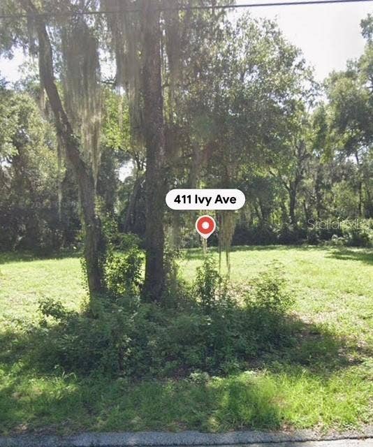 Property photo for 411 IVY AVENUE, Deland, FL
