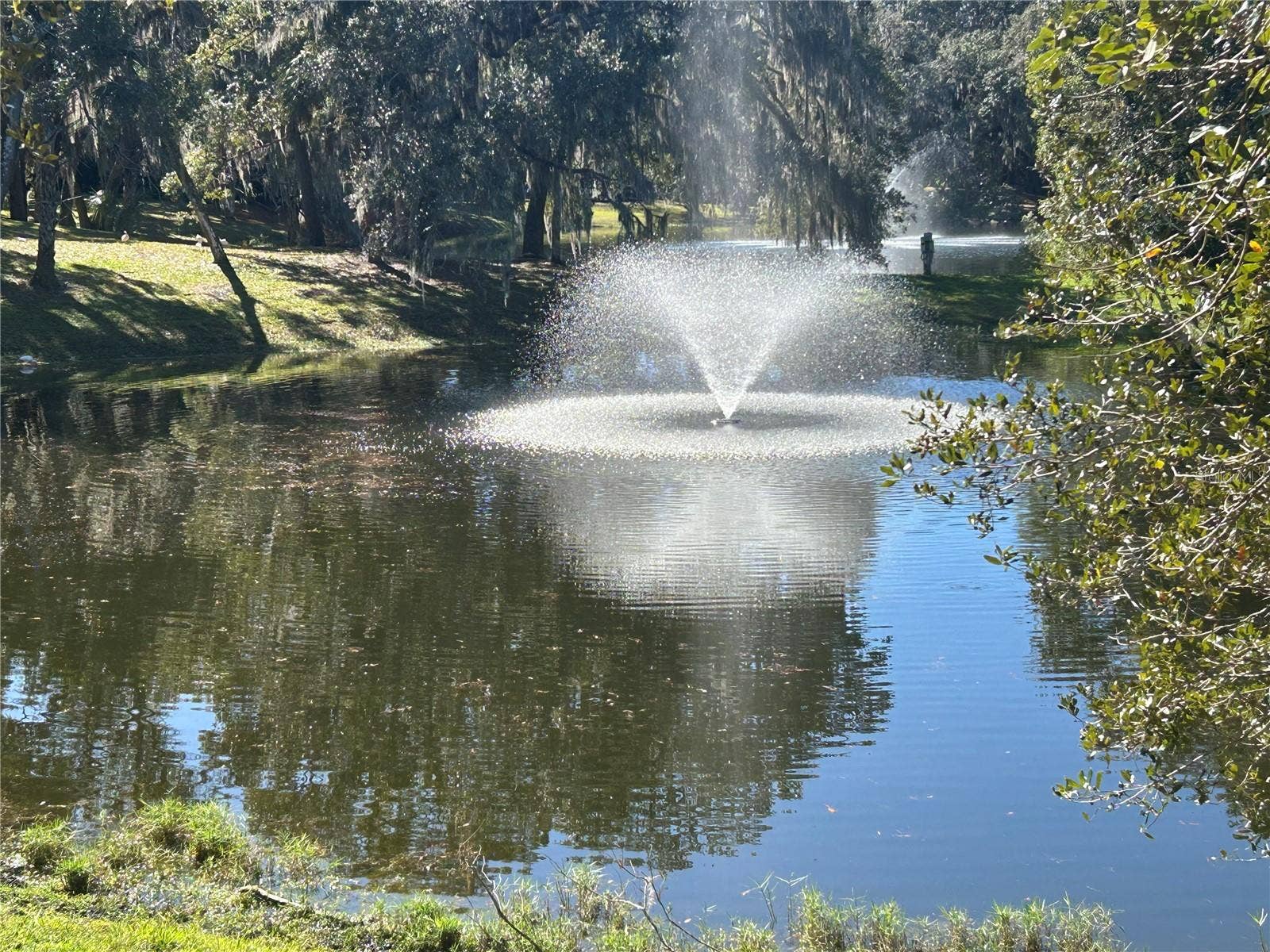 Pond with water feature