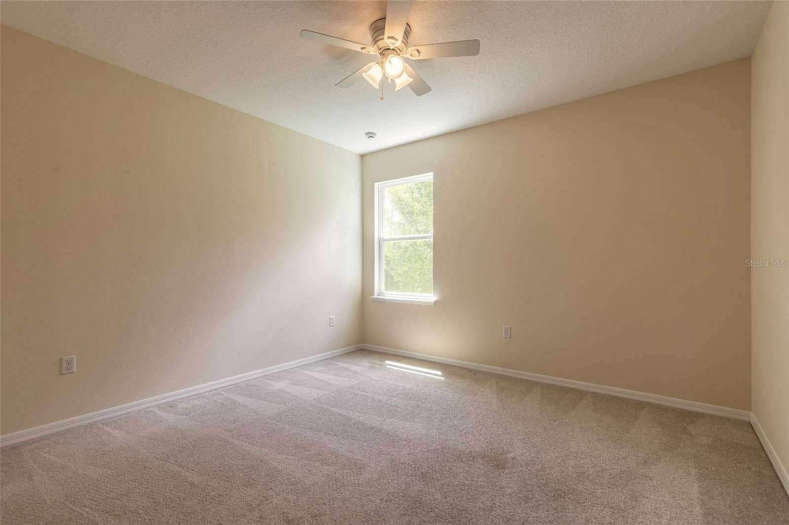 3938 SUNSET COVE DRIVE, Port Orange, FL 32129
