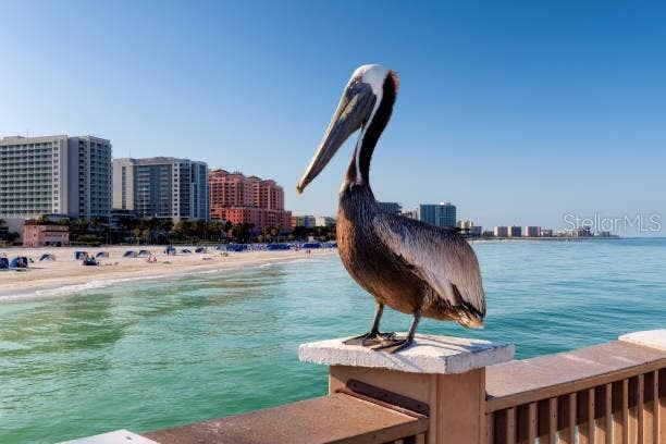 2403 S ATLANTIC AVENUE, #1008, Daytona Beach Shores, FL 32118 2403 S ATLANTIC AVENUE, #1008, Daytona Beach Shores, FL 32118