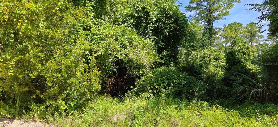 Property photo for 212 N 2ND AVENUE, Satsuma, FL