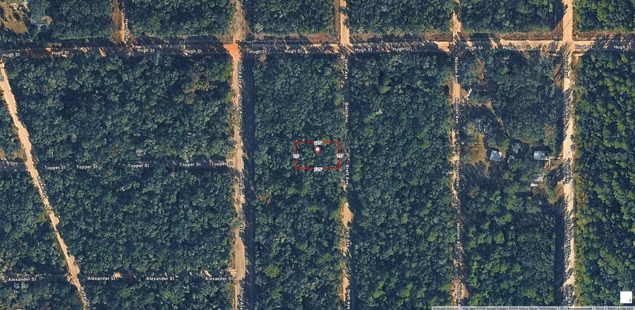 Property photo for BRETT AVENUE, Interlachen, FL