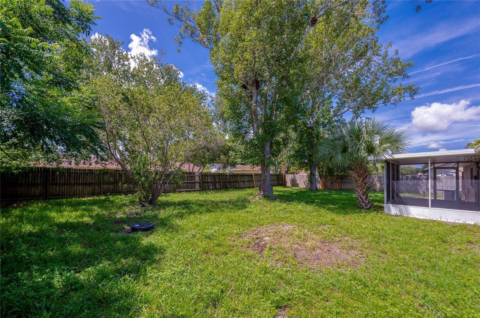 156 SPRINGWOOD DRIVE, Daytona Beach, FL 32119 Broad, grassy backyard offering abundant natural shade from mature trees along a wooden perimeter fence. An attached screened porch is positioned along the side exterior of the home.