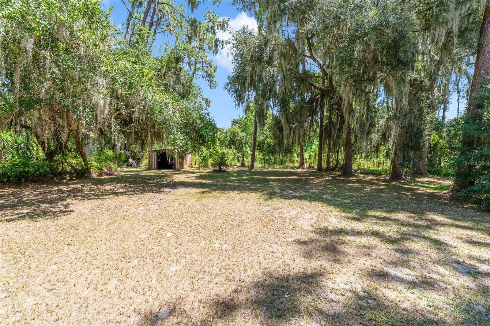31018 COVE ROAD, Tavares, FL 32778 31018 COVE ROAD, Tavares, FL 32778