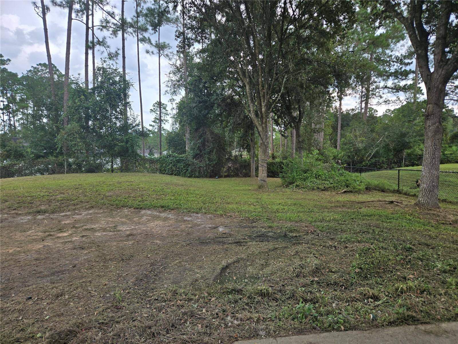 1715 9TH AVENUE, Deland, FL 32724 Yard