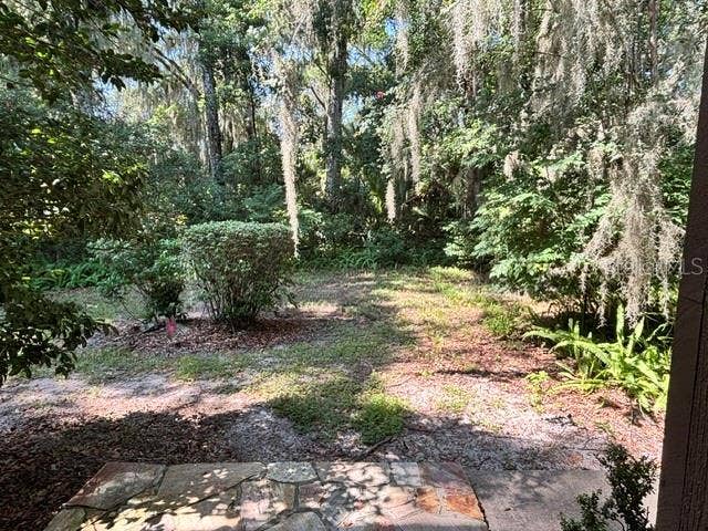 Side yard