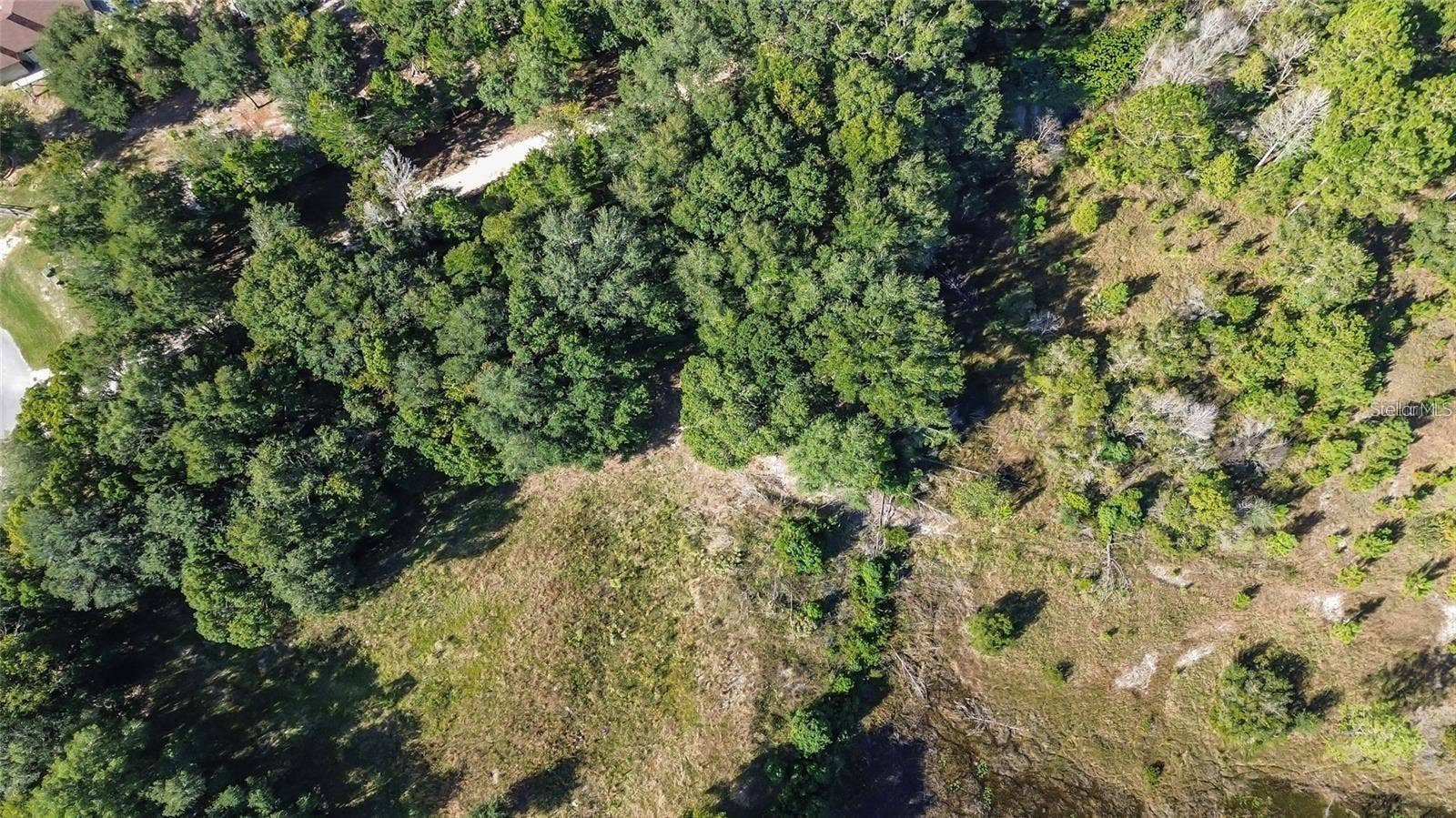 TREE FROG LOT 6 LANE, Eustis, FL 32736 TREE FROG LOT 6 LANE, Eustis, FL 32736