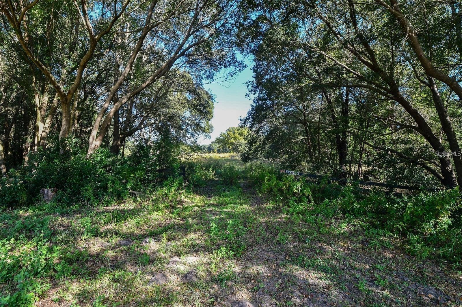TREE FROG LOT 6 LANE, Eustis, FL 32736 TREE FROG LOT 6 LANE, Eustis, FL 32736