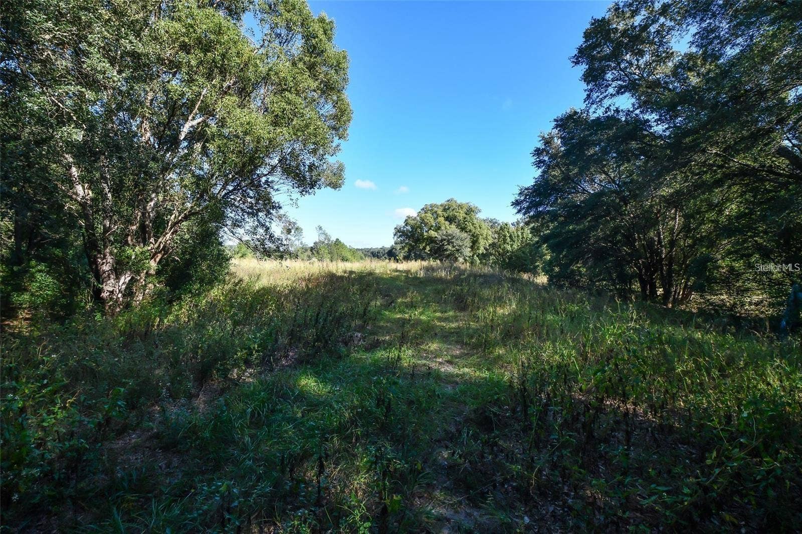 TREE FROG LOT 6 LANE, Eustis, FL 32736 TREE FROG LOT 6 LANE, Eustis, FL 32736