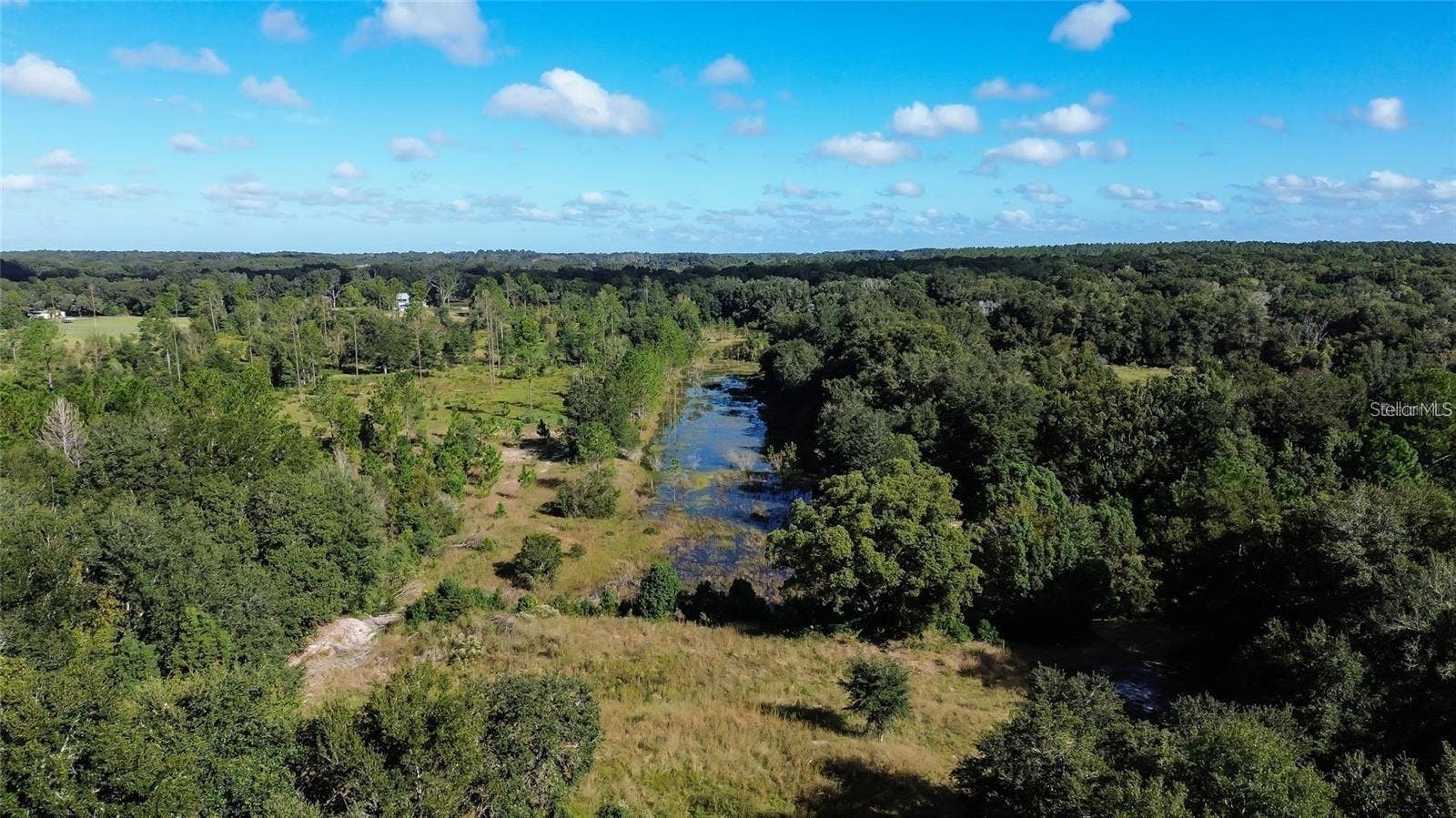 TREE FROG LOT 6 LANE, Eustis, FL 32736 TREE FROG LOT 6 LANE, Eustis, FL 32736