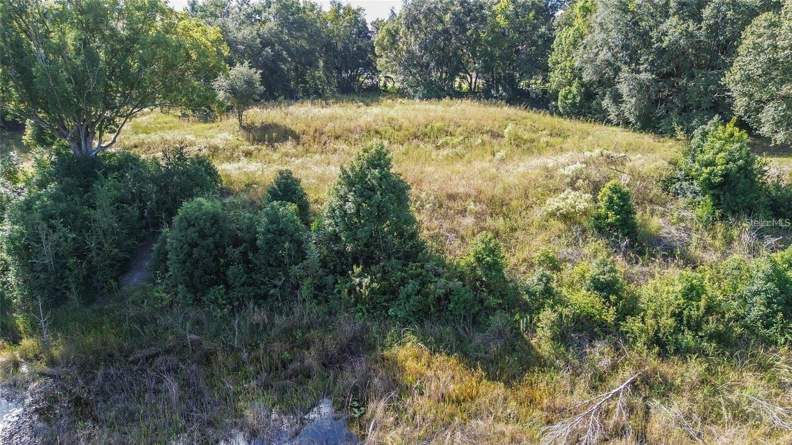 TREE FROG LOT 6 LANE, Eustis, FL 32736 TREE FROG LOT 6 LANE, Eustis, FL 32736