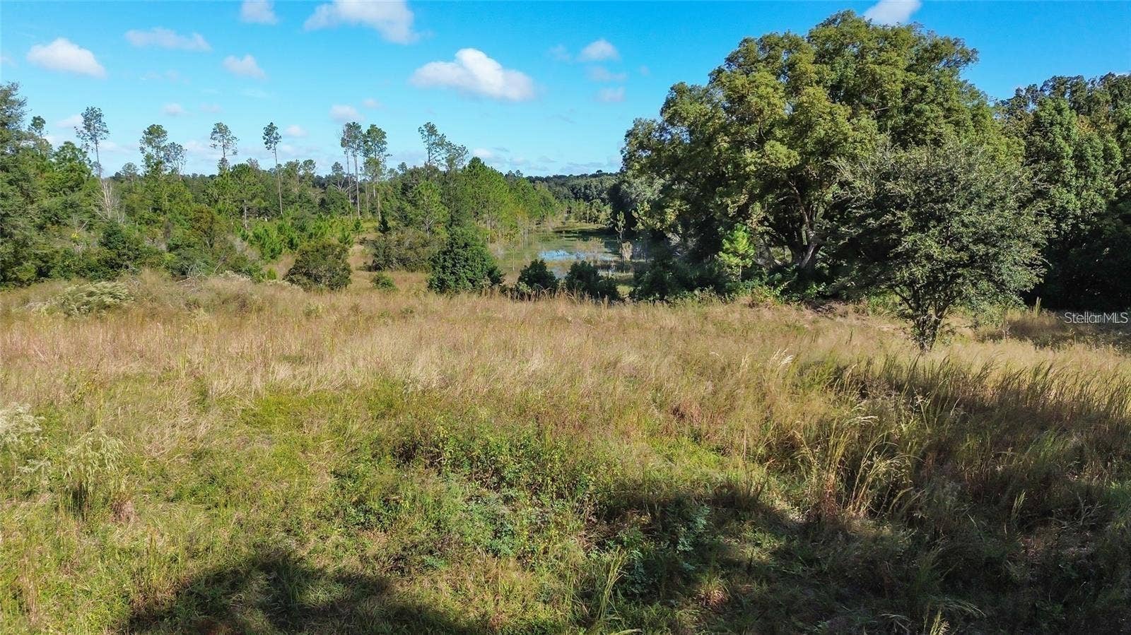 TREE FROG LOT 6 LANE, Eustis, FL 32736 TREE FROG LOT 6 LANE, Eustis, FL 32736