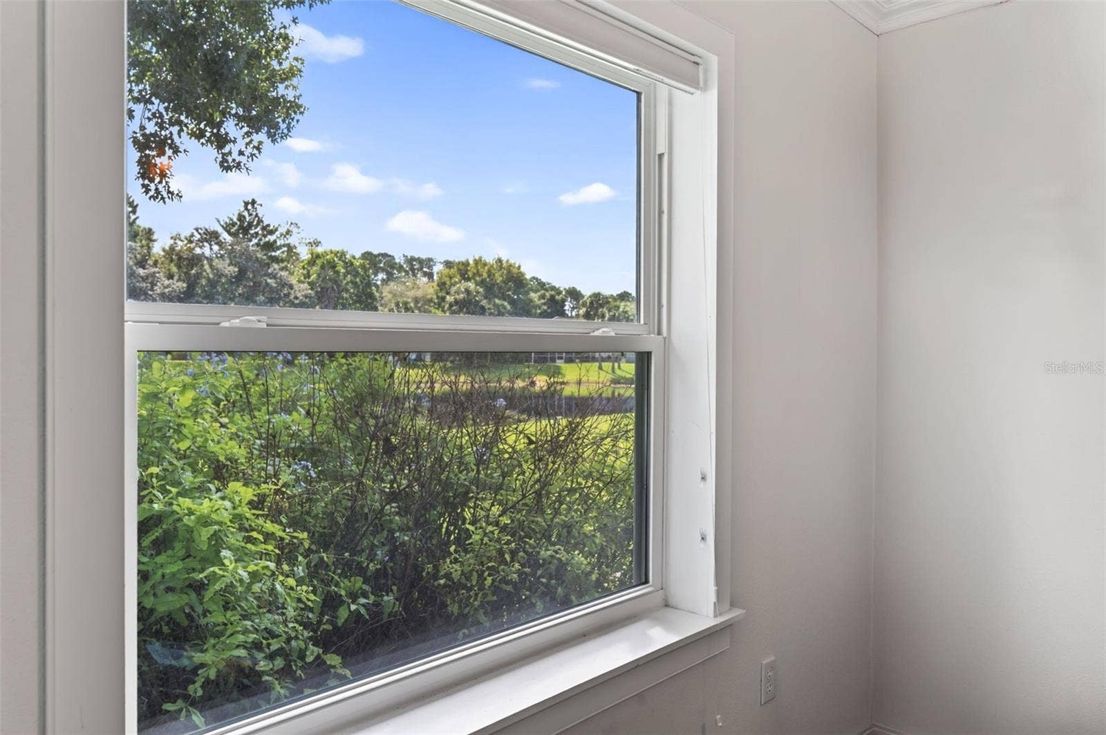 21 GREENVALE DRIVE, Ormond Beach, FL 32174 21 GREENVALE DRIVE, Ormond Beach, FL 32174