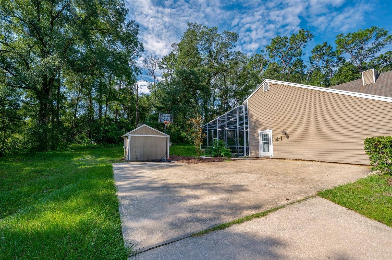Open backyard space featuring a large concrete driveway area, an outdoor basketball hoop, a storage shed, and surrounding lush greenery.