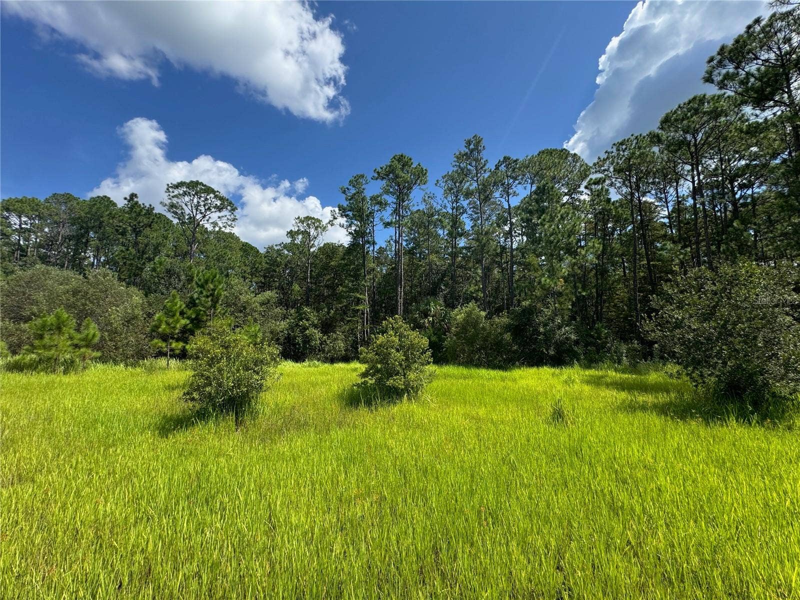 2750 BIG JOHN DRIVE, Deland, FL 32724