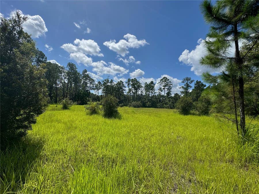 Property photo for 2750 BIG JOHN DRIVE, Deland, FL
