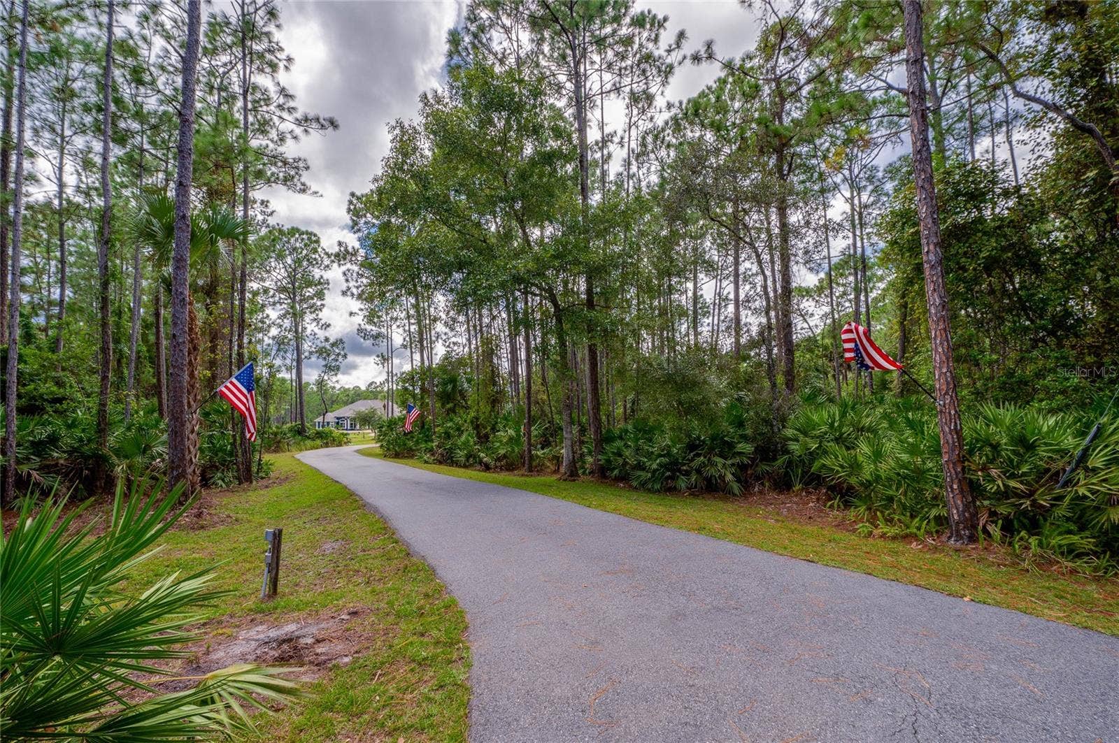 25 REMINGTON ROAD, Ormond Beach, FL 32174 Private paved driveway winding through dense natural pine trees and lush greenery toward the main residence.